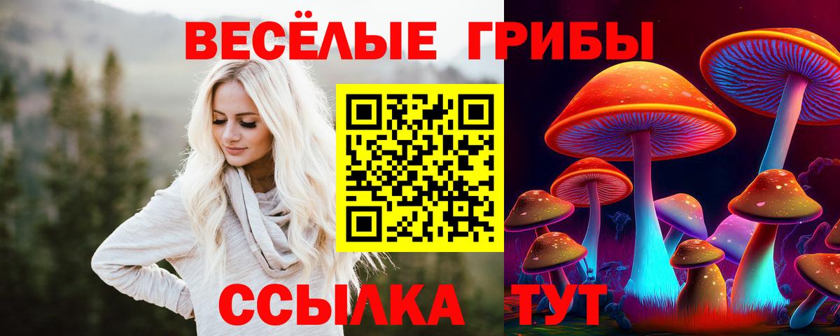 Псилоцибиновые грибы Psilocybe  Галлюциногенные грибы мухоморы  Вход с VPN  Полысаево 